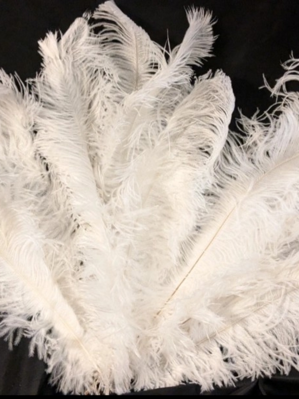 White Decorative Ostrich Feathers for Home Accents 2 Dozen